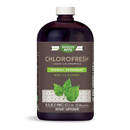 Nature's Way Chlorofresh Liquid Chlorophyll Internal Deodorant, Natural Mint Flavor 16 Oz (2 Pack) #TOP1