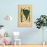 Regale carteles de vegetales retro e impresiones artísticas de plantas a todos los que se preocupan por usted o se preocupan por usted, a modo de bendición. Como una idea de regalo navideña interesante y no tradicional o un recuerdo familiar, este arte también se puede utilizar como regalo de inauguración de la casa, regalo de cumpleaños o símbolo simple para ayudar a crear una atmósfera cálida y armoniosa.