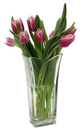 Rocco Bormioli Bormioli Rocco Vinciana Vaso Fiori, 1 Pezzo