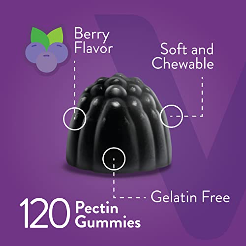 Sambucus Black Elderberry Gummies [3 In 1 Immune Booster] Plus Zinc & Vitamin C - Herbal Dietary Supplements, Plant Based Pectin - Good For Adults Teens & Kids - Berry Flavored Gummy [60 Count-2 Pack] #TOP2