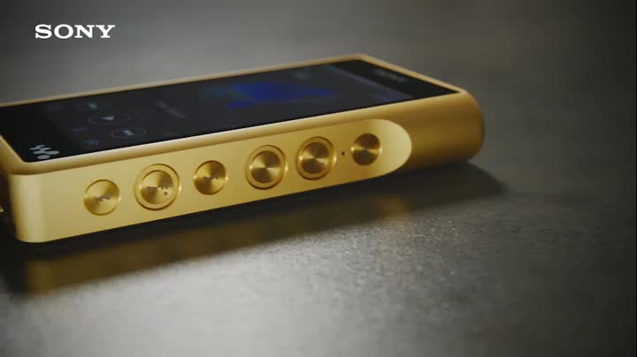 Sony NW-WM1Z High-Resolution Audio Walkman (256 GB Memory, S