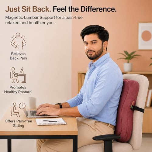 Image of Aasan Lumbar Support Pillow for Office Chair & Car Seat, Maroon | Ergonomic Back Support Cushion, Lower & Upper Back Pain Relief, Spine & Waist Support, For Long Sitting