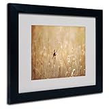 Trademark Fine Art Joyful, Joyful, All Rejoicing by Lois Bryan Canvas Artwork in Black Frame, 11 by 14-Inch