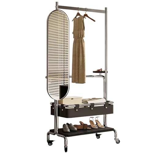 ZzERTE Perchero Burro De Doble Barra De Metal,Perchero Recibidor Con Espejo & Ruedas,Organizador,Perchero Burro,Con Un Estante De Almacenamiento(Black,60cm/23.6in)
