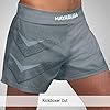Hayabusa Arrow Kickboxing Shorts - Grey, 30