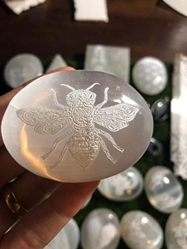 Real Black Scorpion Earrings Acrylic Sterling Silver Preserved Specimens