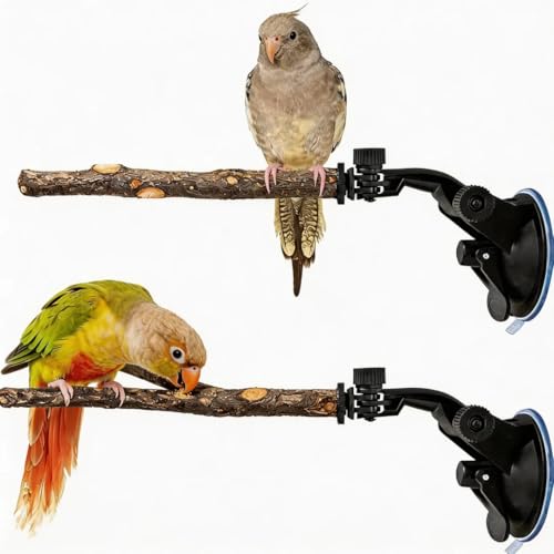 2 PCS Parrot Perch Stand Movable Perch Stand Bird Training Set Wood Parrot Perch Stand with Strong Suction Cup for Cockatoo Macaw Parakeet Window Mirror Car Shower Ceramic Tiles Bath