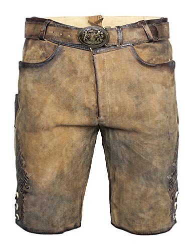 Maddox Lederhose kurz Faelo zirbe antik | Weiches Ziegenvelour-Leder | Kurze Herren-Lederhose mit Reißverschluss und Gürtel | Gute Qualität (48)