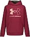 Under Armour Boys Fleece Big Logo Hoodie, Cordovan, YSM