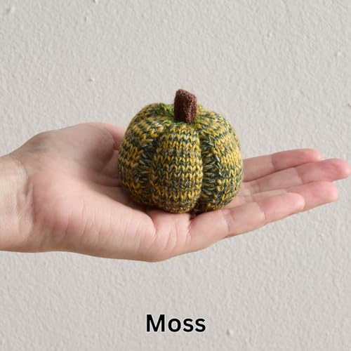Image of Cozy Mini Knit Pumpkins Set of 5 (Juniper 2.5 Inch Set) | Fall Home Decor, Table Top Bowl Filler, Gift for New Apartment