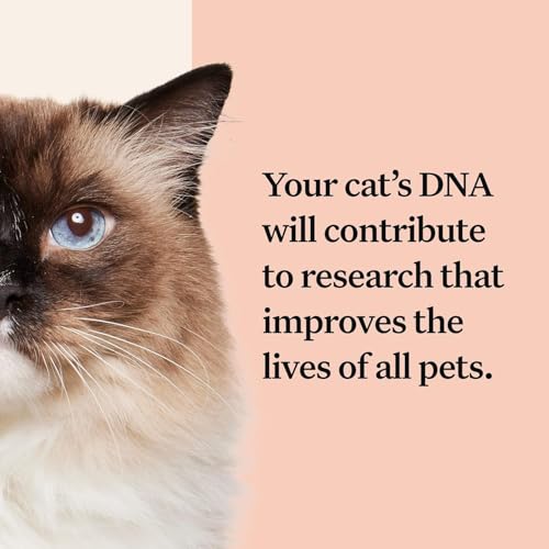 Wisdom Panel Complete: Comprehensive Cat DNA Test kit for 45 Health Genetic Health Conditions, 70+ Breeds and populations, 25+ Traits, Blood Type - Pack of 1
