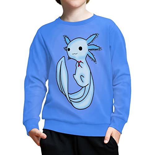 Huiacong Axolotl Boys' Cricket Clothing Blue Kids Crew Neck Sweatshirts Cute Long Sleeve Tshirt For Children Sport Clothes Trendy Outfit Size 8/10 Girls Jumper #TOP2