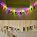 Magnoloran 30 LED Photo Clip Fairy Lights - Twinkle Starry Lights for Home, Bedroom, Wall, Halloween, Thanksgiving, Christmas, Party, Wedding Decor - Multicolor
