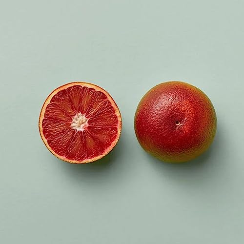 Rosa Grapefruit-Shampoo für Hunde und Katzen, speziell für mittleres Fell - Linie Fruits - 500 ml - Tönt und regeneriert den Haarmantel - hergestellt mit natürlichem Duft - IV San Bernard