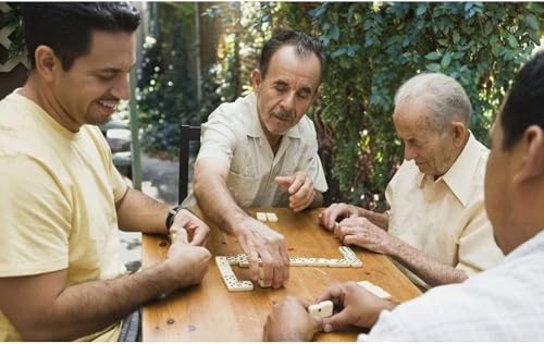 Tomatoys Domino Jeu de société ou Domino professionnel 28 pièces. Dominos : classique, sophistiqué, et toujours amusant. Ajoutez du style à vos moments de stratégie avec ce jeu de société – vue 2