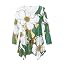 Floral Cherokee Rose