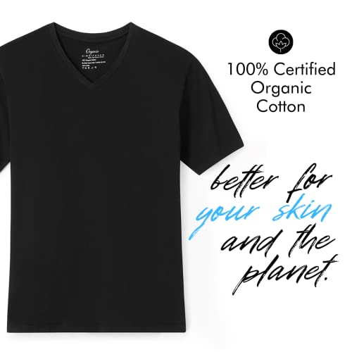 V-Neck 100% Certified Organic Cotton, Soft T-Shirts for Men3