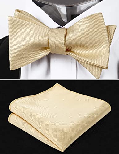 Image of Alizeal Mens 2pcs Solid Self-tied Bow Tie Set | Alizeal Mens 2pcs Self-tied Solid /Animal Bow Tie and Pocket Square Set Perfect for Wedding Business Formal Events