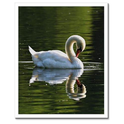 Poster cygne cadre noir 40x50 cm pour decoration murale salon H10358Z