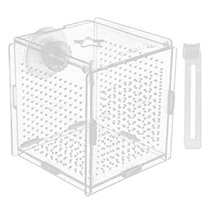 Balacoo 1 set vis tank fokken broederij vis fokken geïsoleerde doos aquariumisolatiedoos