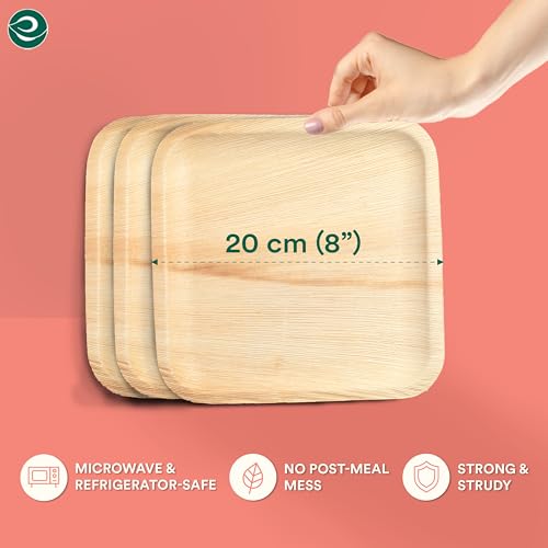 ECO SOUL [8 inch, 25-Pack Areca Palm Leaf Square Plates | Disposable Eco-Friendly Biodegradable Like Bamboo Wood Plates | Party, Wedding, Event Plates (20 cm)