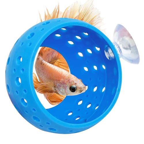 Image of Fhiny Betta Tunnel, Aquarium Fish Hideout with Suction Cup - Shrimp Cave Aquarium Decor for Small Fish, Shrimp, Guppy Hiding & Resting (Blue)