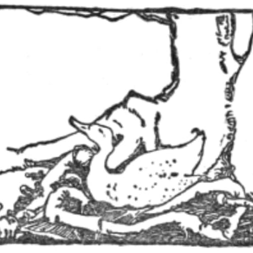 Grimm&rsquo;s Fairy Tales: The Golden Goose