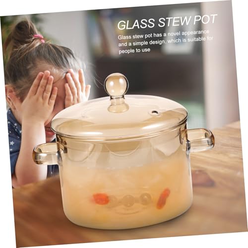 Casserole en verre borosilicate pureté visuelle et cuisson ragoût - 5