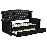 Coaster Home Furnishings Scarlett Modern Classic Velvet Upholstered Twin Size Button Tufted Daybed with Trundle Bed for Guestroom 53-inch Headboard Bedroom Lounger Black 300642