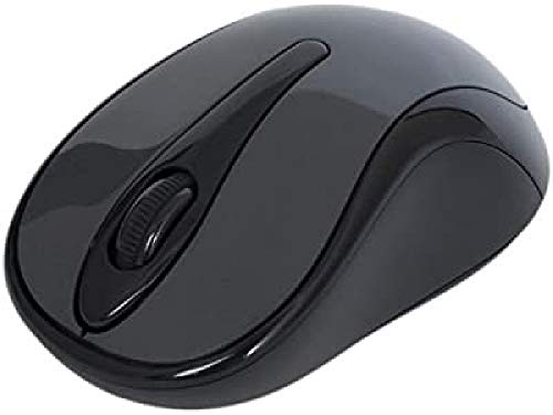 A4tech G3-280N - Souris (RF sans Fil, Roue, Optique, PC, DPI Switch, Verticale)