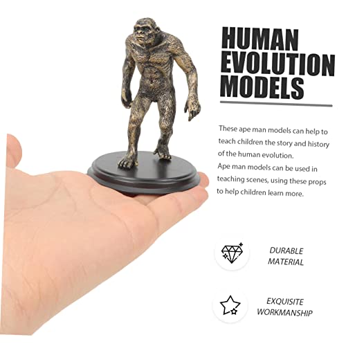 ORFOFE 1 Conjunto Modelo Da Evolução Do Macaco Brinquedos Infantis Decoração De Casa Auxiliares De E