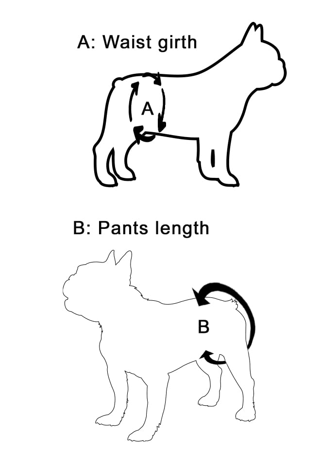 Glenndarcy Hundewindel ohne Schwanzloch – Französische Bulldogge – (nur mittlere lange Hose, französische Bulldogge)