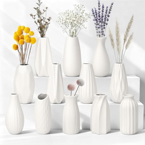 JBER 12 Kleine Pampasgras Vasen Deko Satz - 13cm Weiße Keramik Blumenvase Matte Vase für Trockenblumen, Moderne Home Decor Boho Skandinavische Deko Vase, Dekoration für Wohnzimmer, Hochzeitstisch
