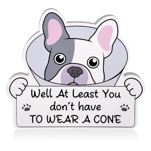 Fukaisu Get Well Soon Gifts, At Least You Don’t Have To Wear a Cone Funny White Elephant Vasectomy Feel Better Soon Gifts Dog Acrylic Ornament for Women Men After Surgery Post Recovery Present