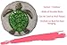 Spoontiques -Garden Décor - Turtle Stepping Stone - Decorative Stone for Garden