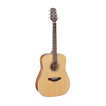 Amazon.co.jp: Takamine タカミネ G Series GD20 Dreadnought