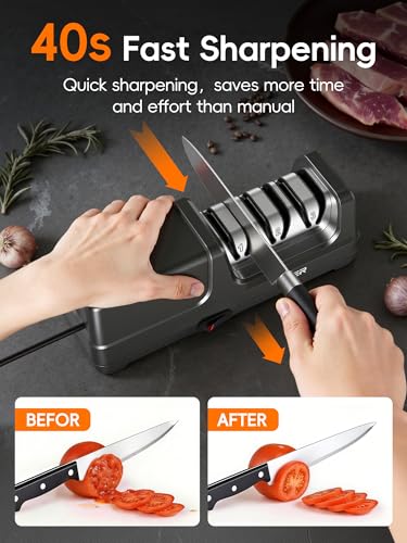 Professional Electric Knife Sharpener