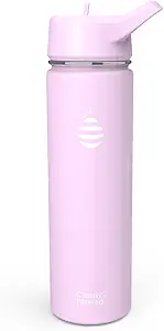 Clearly Filtered Water Bottle | Removes 220+ Contaminants, Double-Wall Insulated Stainless Steel, BPA/BPS Free, Phthalate Free, Filters Flouride Lead Chlorine (20oz, Lilac)