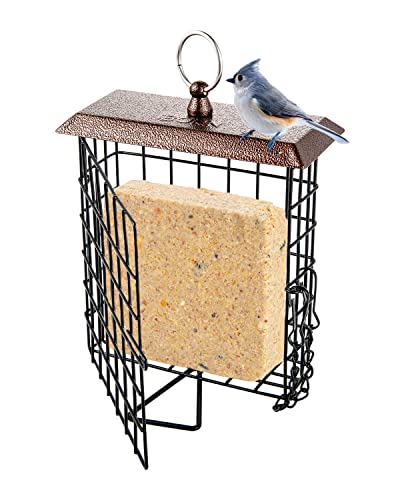 iBorn Suet Feeder Suet Bird Feeders for Outside Hanging,Squirrel Proof Suet Cakes Bird Feeder for Wild Birds,Metal Brown(Pack of 1)