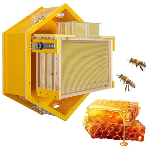 Kit di base per alveare, da parete, con 3 cornici e 6 vassoi a nido d'ape, ideale per appassionati e allevamenti di api