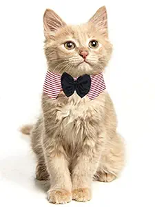 Dchica Paws Retro Dude Stripes & Black Bow Collar for Cats (XXS) Adjustable, Soft/Comfy for Pets to wear, Easy for use for Parents