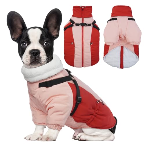 MHaustlie Manteau d'hiver pour Chien avec Fermeture Éclair Et Bandes Réfléchissantes, Gilet d'hiver Chaud pour Chien, Vêtements Chauds pour Chiens de Petite, Moyenne Et Grande Taille(S, Rouge)