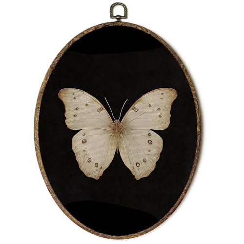 OINDADE Vintage Moody Butterfly Oval Wall Art Decor, Dark Cottagecore Butterfly Wall Art Hanging Decor, Vintage Retro Rustic Butterflies Framed Canvas Artwork for Living Room Farmhouse, 8.8x11.5in