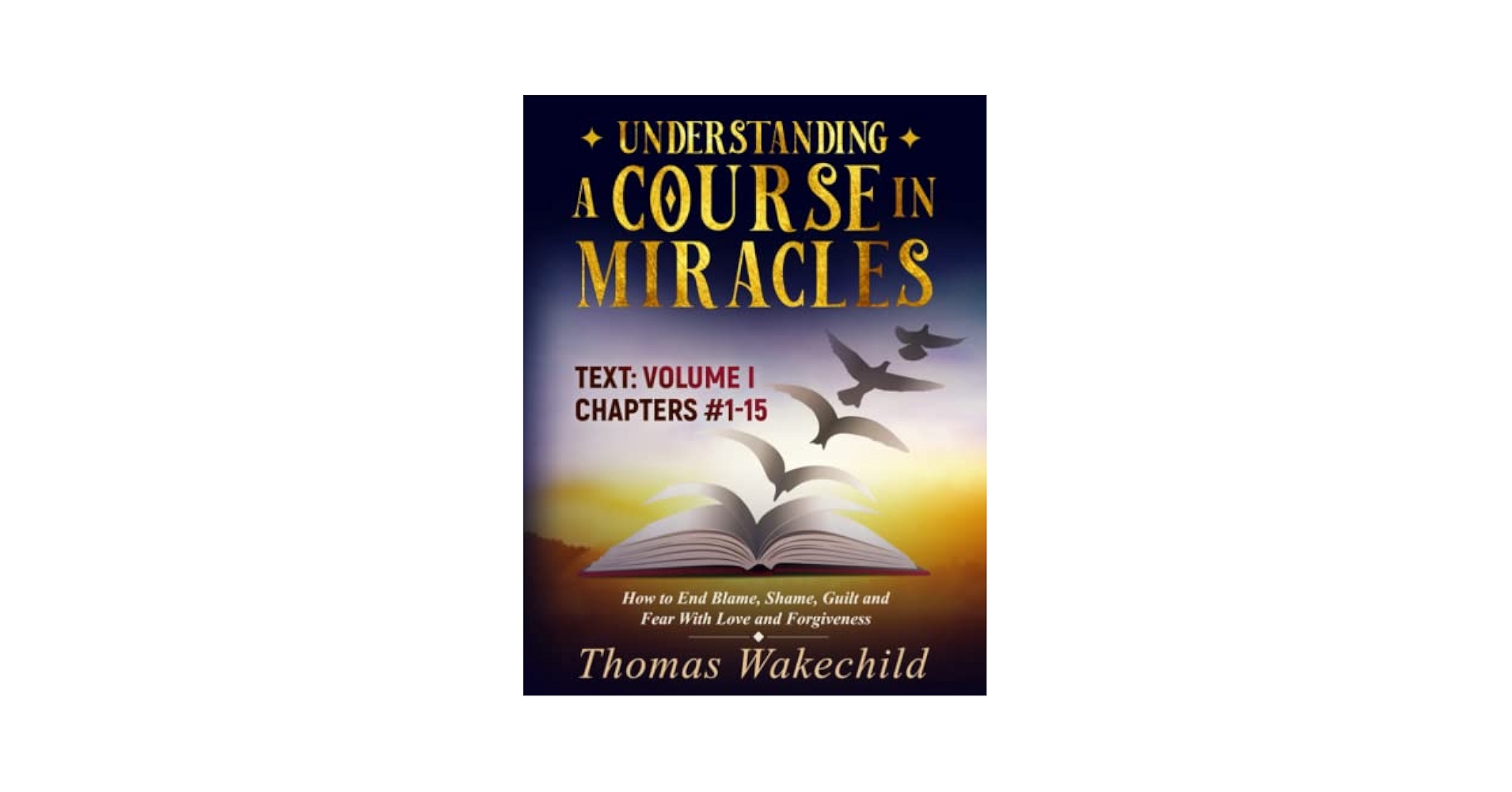 Amazon.com: Understanding A Course In Miracles Text: Volume