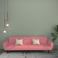 zylophax Canapé-lit 2 Places Rose Velours Convertible modulable avec Dossier inclinable pour Salon séjour Bure