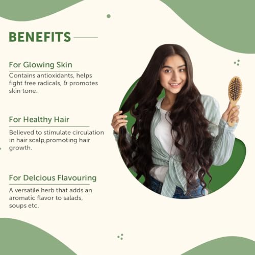 Image of Neuherbs Rosemary Dried Leaves 50g | Natural Herb for Hair Growth, Herbal Tea & Food Seasoning | Rich in Antioxidants for Hair & Skin Care | 100% Pure & No Additives