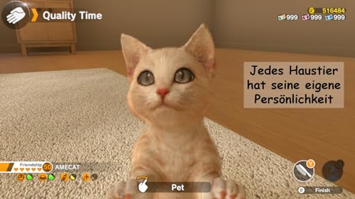 Little Friends: Dogs & Cats (Nintendo Switch) – vue 5