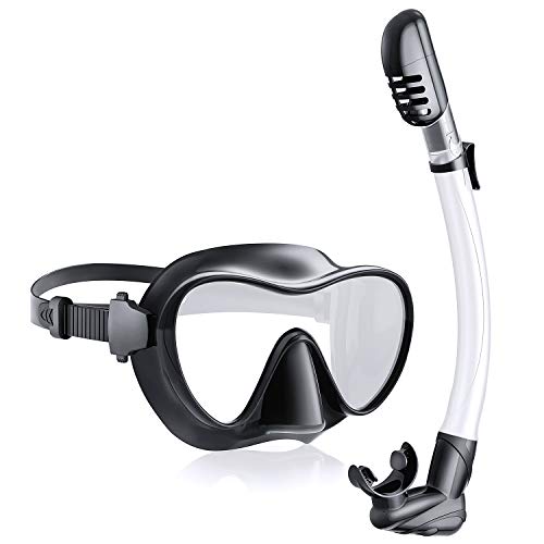 Rodicoco Snorkel Set, Dry Snorkel Mask 180°Panoramic View,2020 Newest Anti-Fog&Anti-Permeation Diving Goggles Foldable