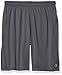 Champion Men's Double Dry Select Short, Shadow Gray, M