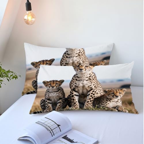Housse de Couette 90x190 cm Panthère Blanche lit enfant microfibres douces